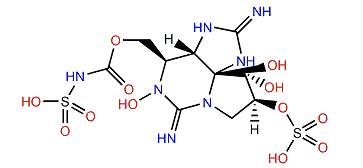 N-Sulfocarbamoylgonyautoxin 4